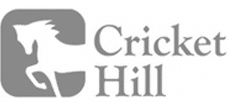 Cricket Hill partners with CRST website development services